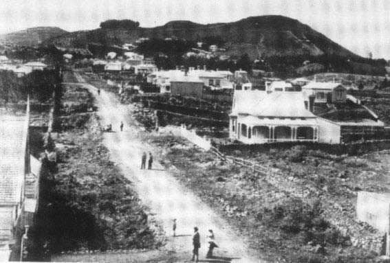 Mt Eden View Rd, 1890's